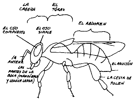 Usos de la cera de abeja. – Miel Sabinares del Arlanza