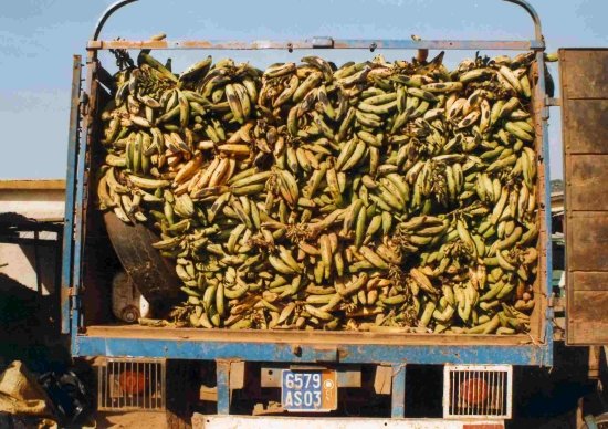 VIEW OF A LORRY