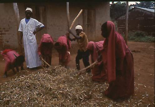 THRESHING