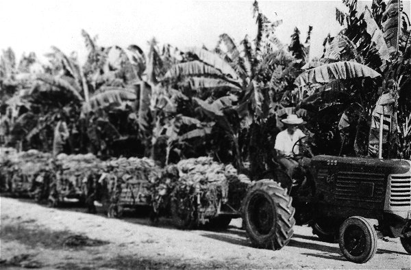 TRANSPORT