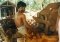 MECHANICAL EXTRACTION OF THE COCONUT HUSK